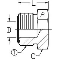 1/2 MALE OFS - PLUG - STEEL