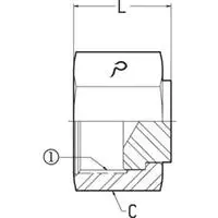 3/8 FEMALE OFS SWIVEL - CAP - STEEL