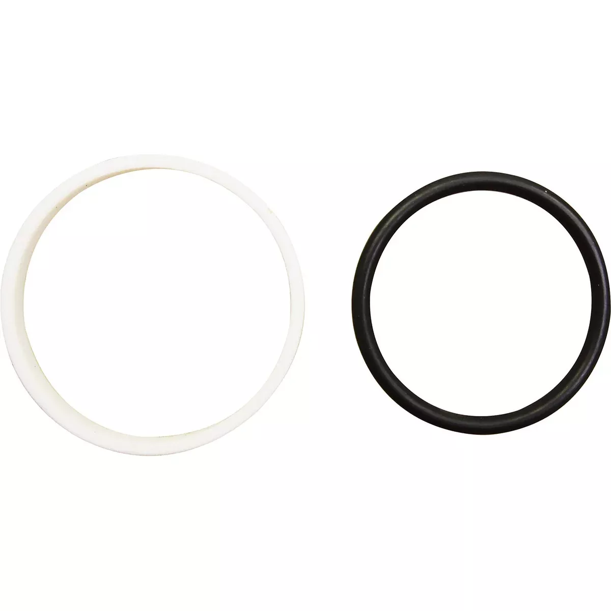 Teflon Seal Ring Kit for Massey Ferguson Hydraulic Pump | 1665685M91