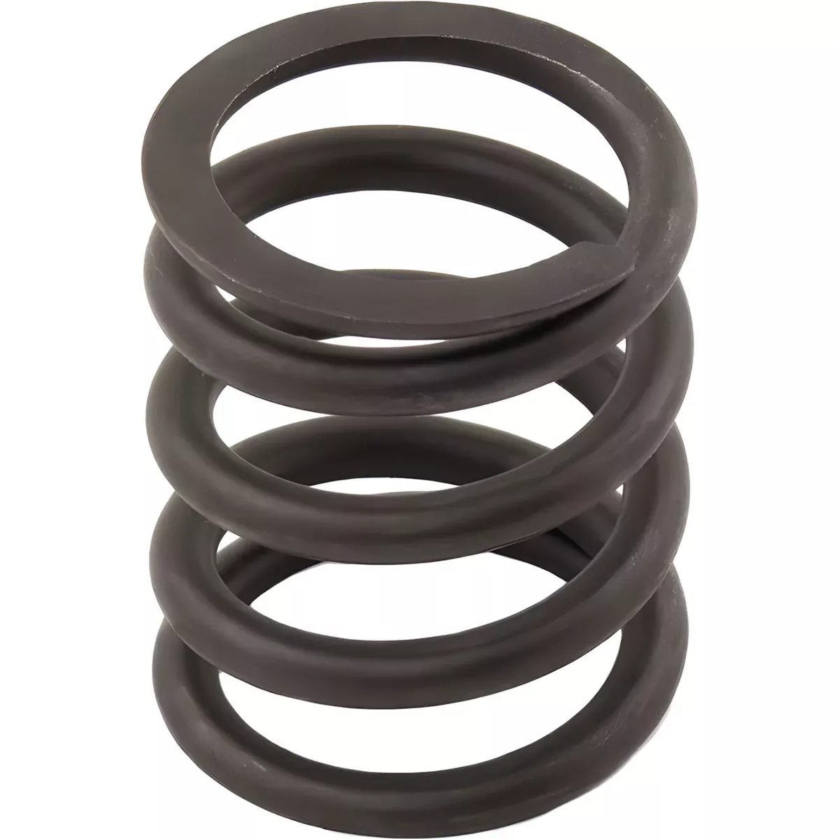 Valve Spring for McCormick AR36443, T80F, AR36805+ | 4224006M1